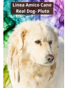 Real Dog