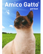 Amico Gatto