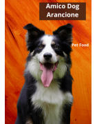 Linea Arancione